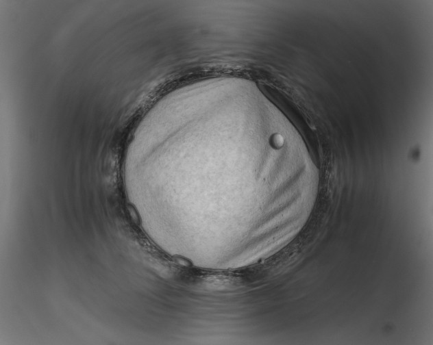 X0000116640708200912291555