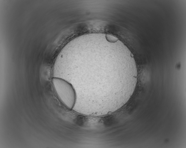 X0000116640709200912291555