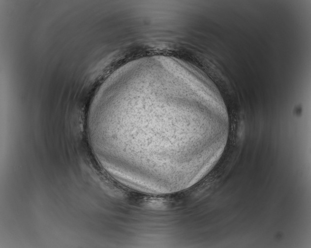 X0000116640710200912291555