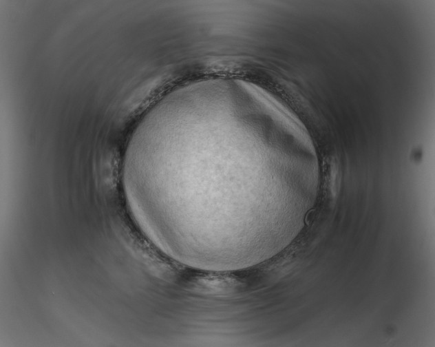 X0000116640712200912291555