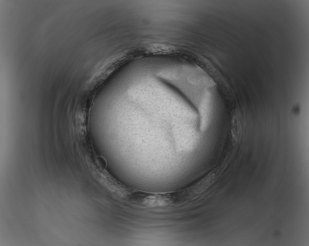 X0000116640714200912291555