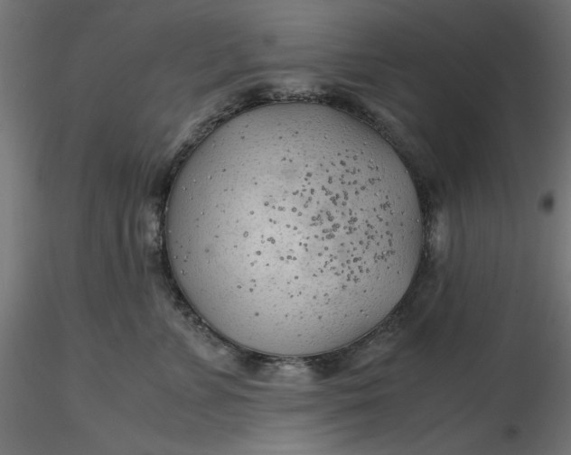 X0000116640715200912291555