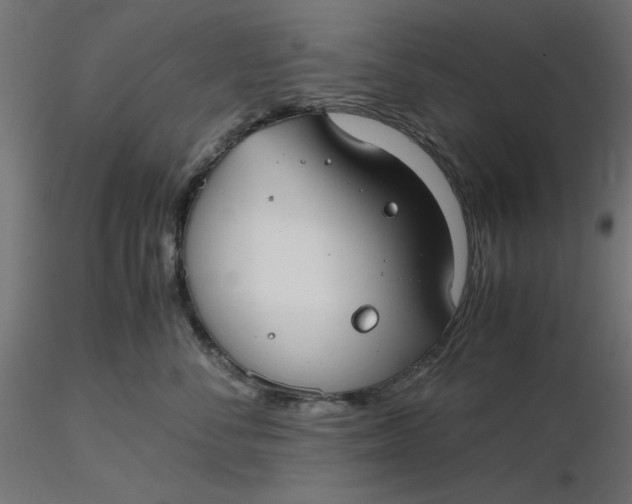 X0000116640716200912291555