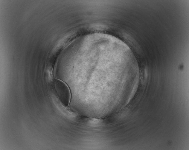 X0000116640718200912291555