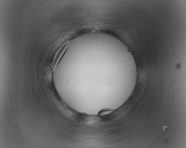 X0000116640719200912291555