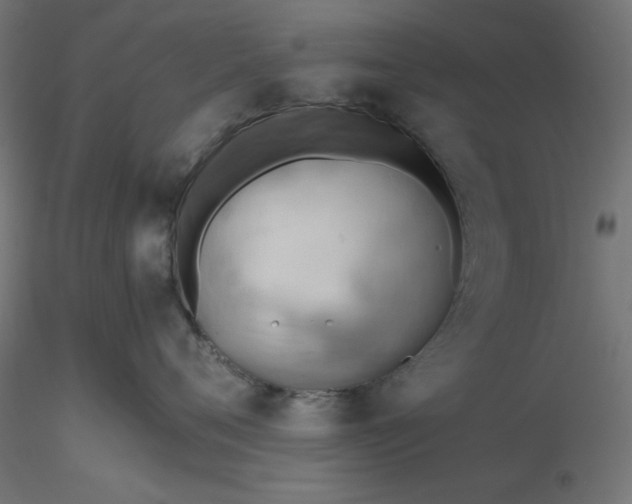 X0000116640720200912291555