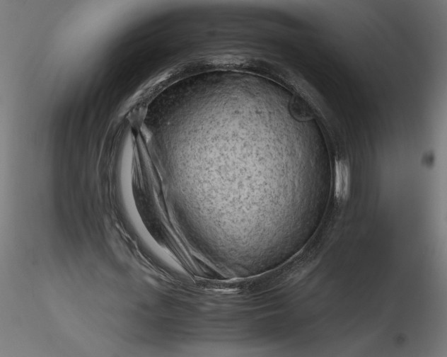 X0000116640723200912291554