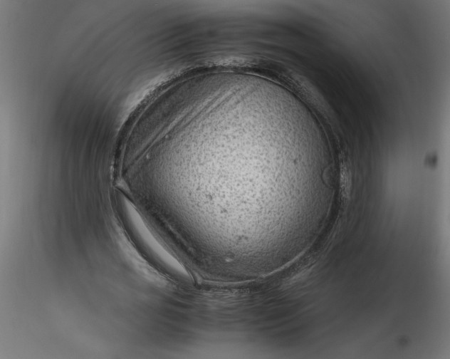 X0000116640725200912291554