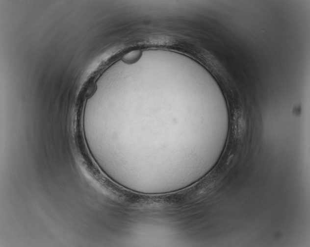 X0000116640726200912291554