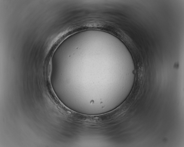 X0000116640727200912291554