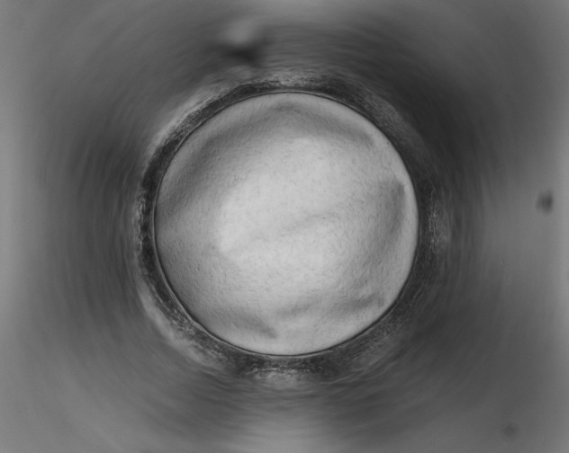 X0000116640730200912291555