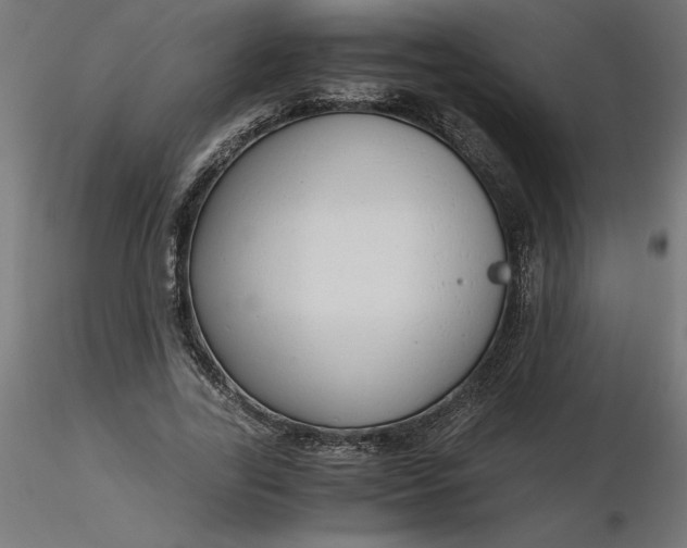 X0000116640731200912291555