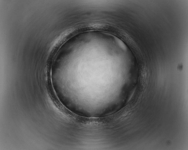 X0000116640734200912291555