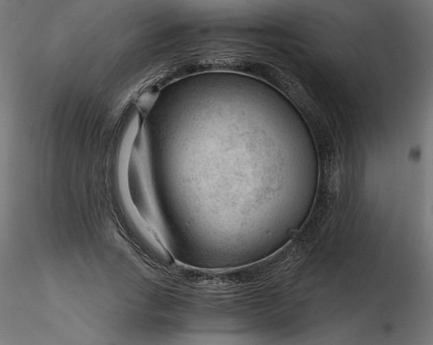 X0000116640735200912291555