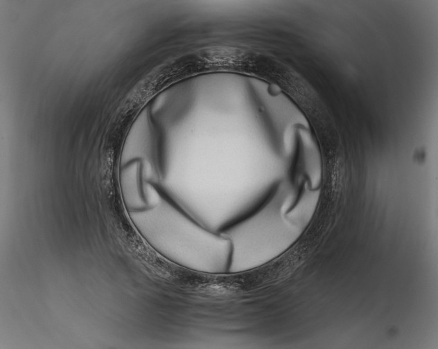 X0000116640737200912291555