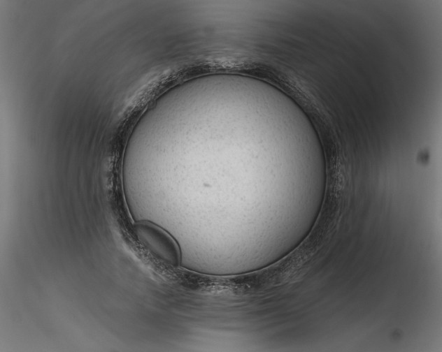 X0000116640738200912291555