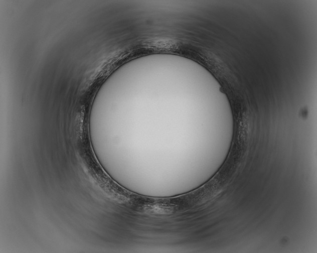 X0000116640739200912291555