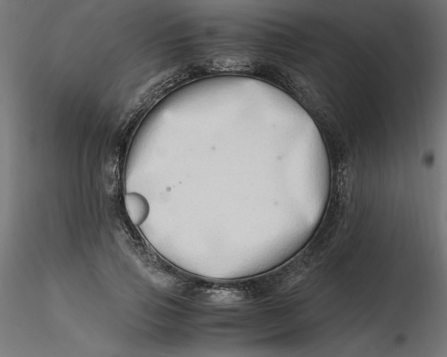 X0000116640741200912291555