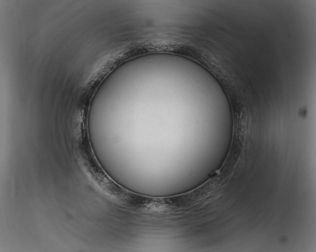 X0000116640742200912291555