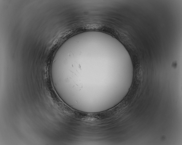 X0000116640743200912291555