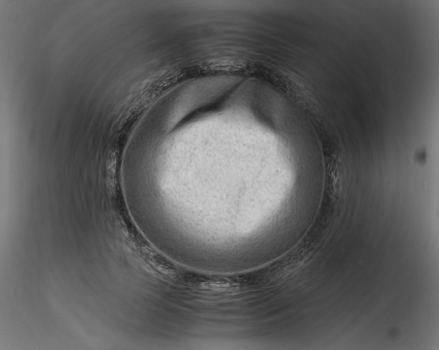 X0000116640745200912291555