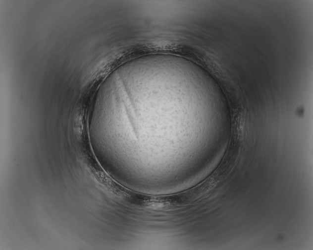 X0000116640746200912291555