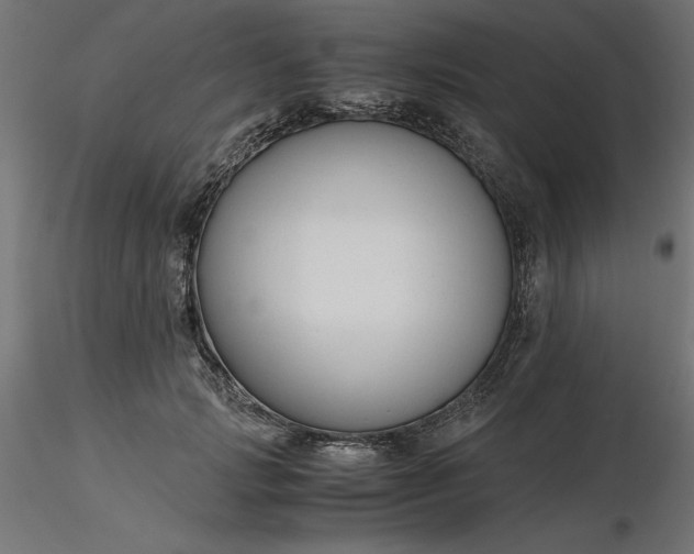 X0000116640749200912291555