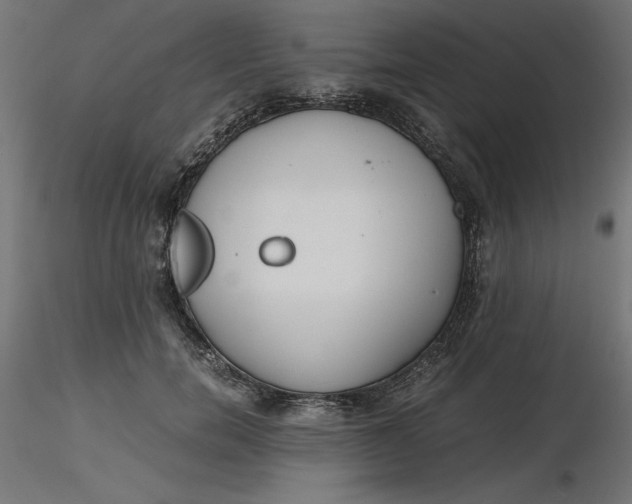 X0000116640750200912291555