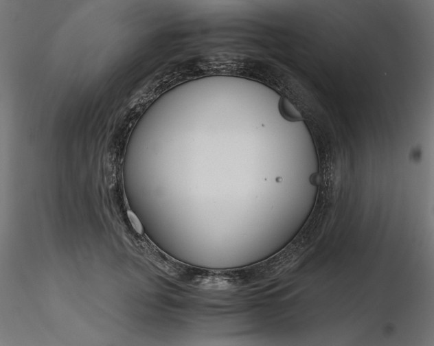 X0000116640751200912291555