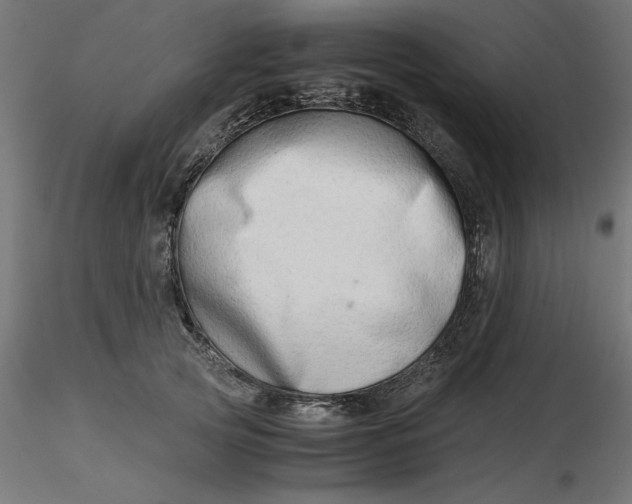 X0000116640753200912291555