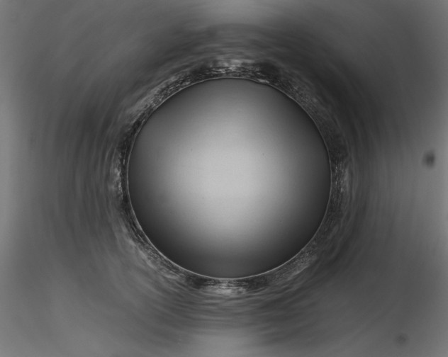 X0000116640754200912291555