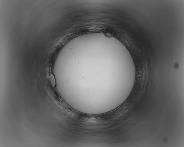 X0000116640755200912291555