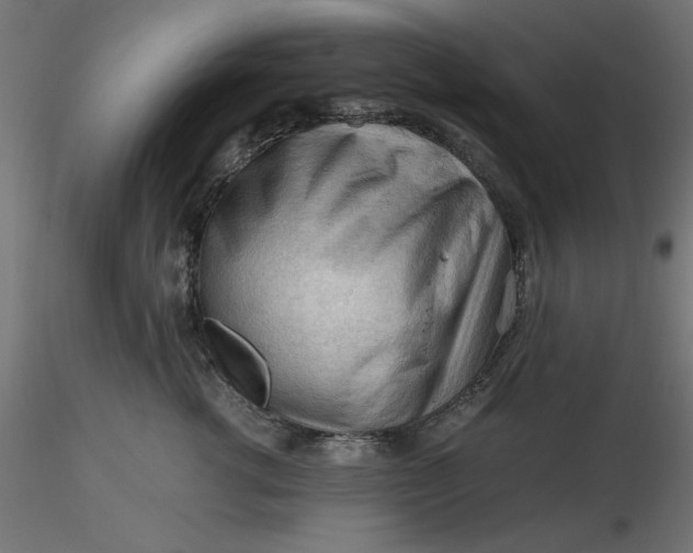 X0000116640762200912291555