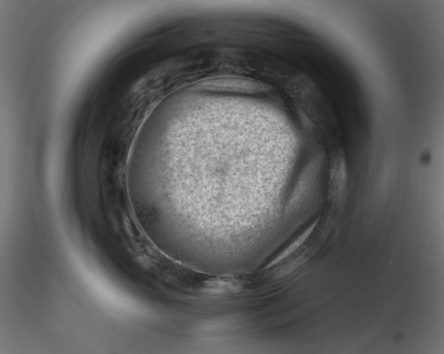 X0000116640765200912291555