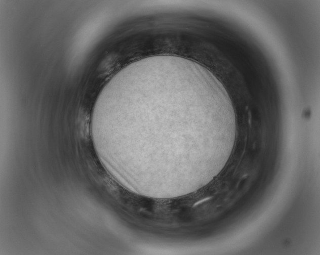 X0000116640766200912291555