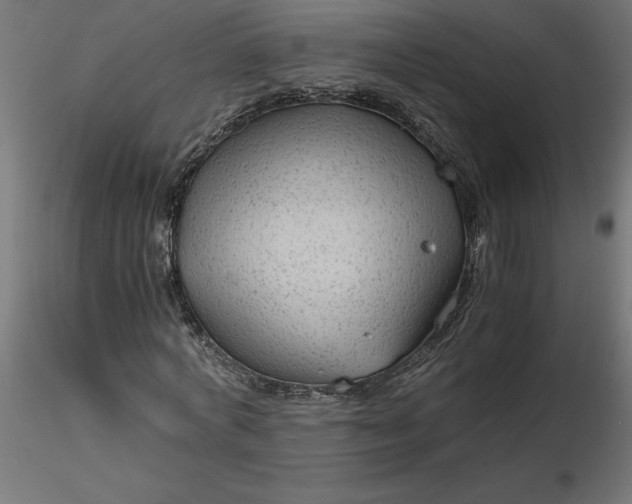 X0000116640772200912291554