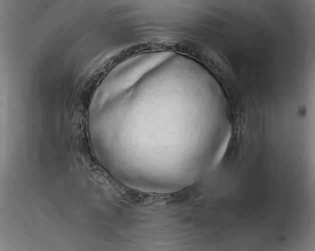 X0000116640773200912291554