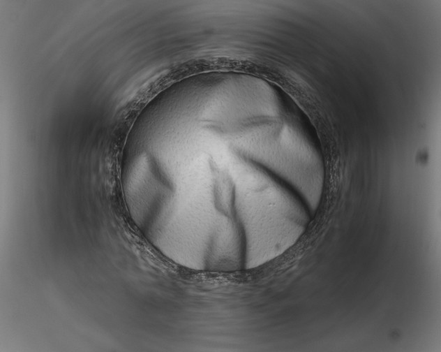 X0000116640774200912291554