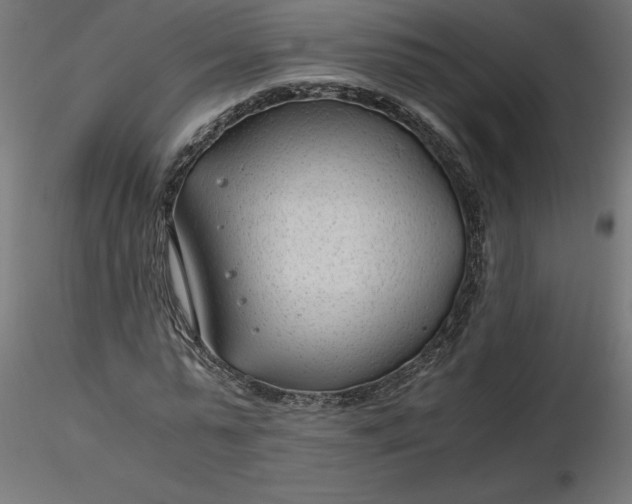 X0000116640775200912291554