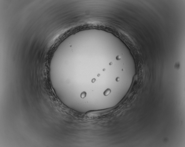 X0000116640776200912291554