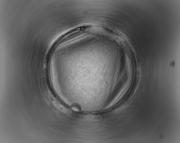 X0000116640779200912291554