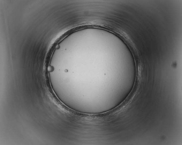 X0000116640780200912291554