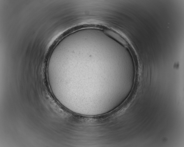 X0000116640783200912291554