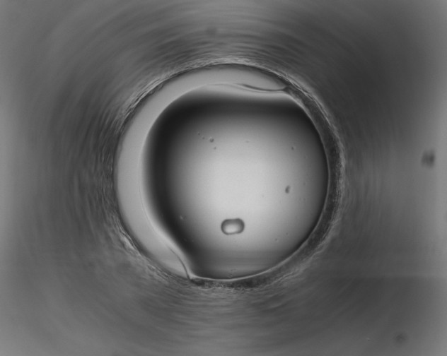 X0000116640785200912291554