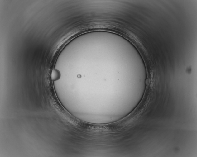 X0000116640786200912291554