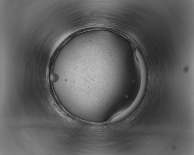 X0000116640788200912291554