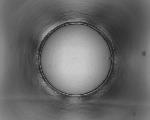 X0000116640789200912291554