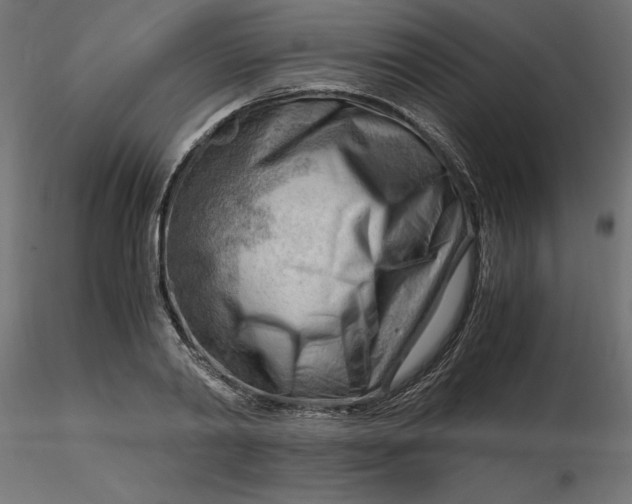 X0000116640790200912291554