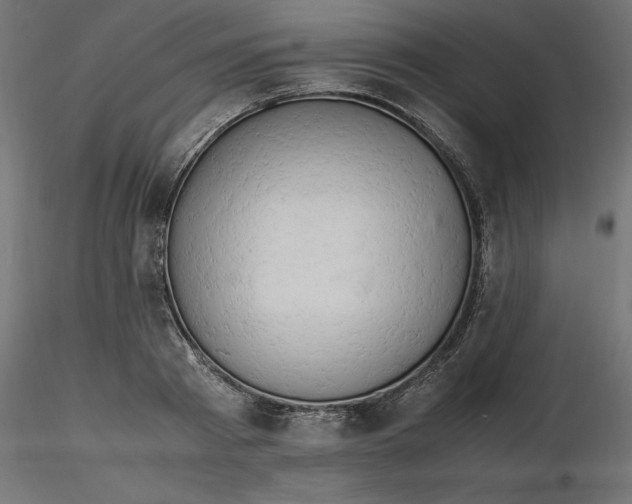 X0000116640793200912291554