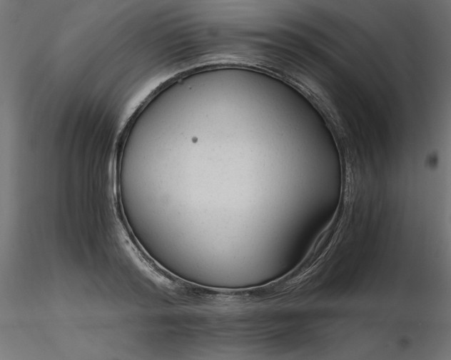 X0000116640796200912291554